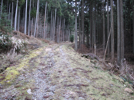 20140105hike (154)